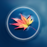 Maple Leaves Live Wallpaper icon