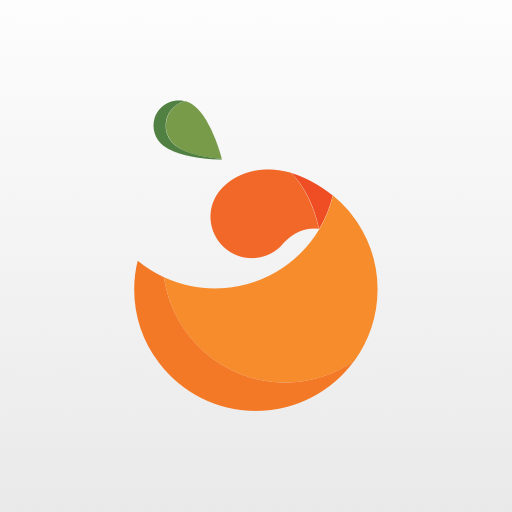 One Florida Mobile Banking logo