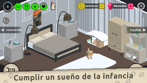 Vista previa de la aplicación