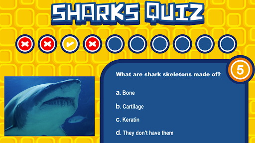 Shark Quiz Screen 2
