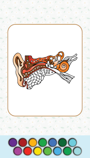 Anatomy Coloring Book Screen 3