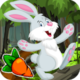 Looney Bunny Adventure Dash icon