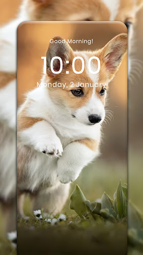 Dog HD Wallpaper Screen 2