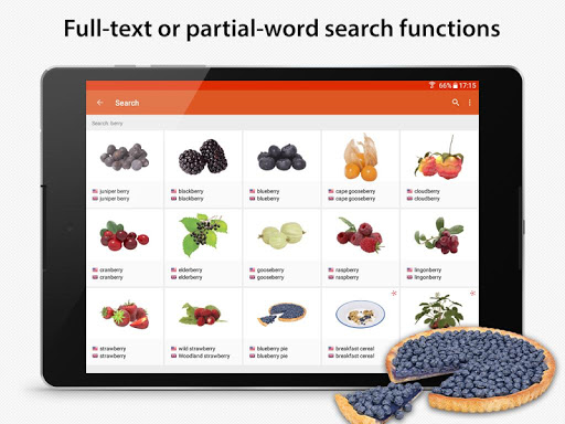 JOURIST Visual Dictionary