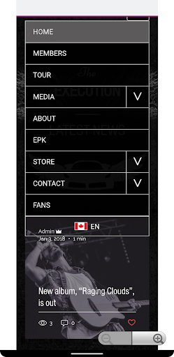 The Execution Screen 2