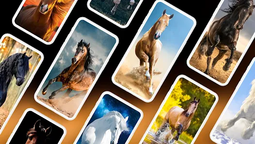 Papel de parede de cavalos::Appstore for Android