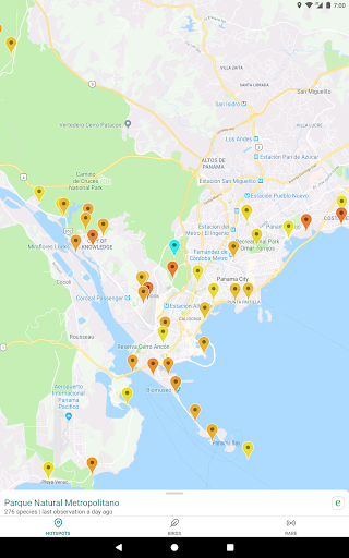 Screenshot of GoBird - Guide to Nearby Birds