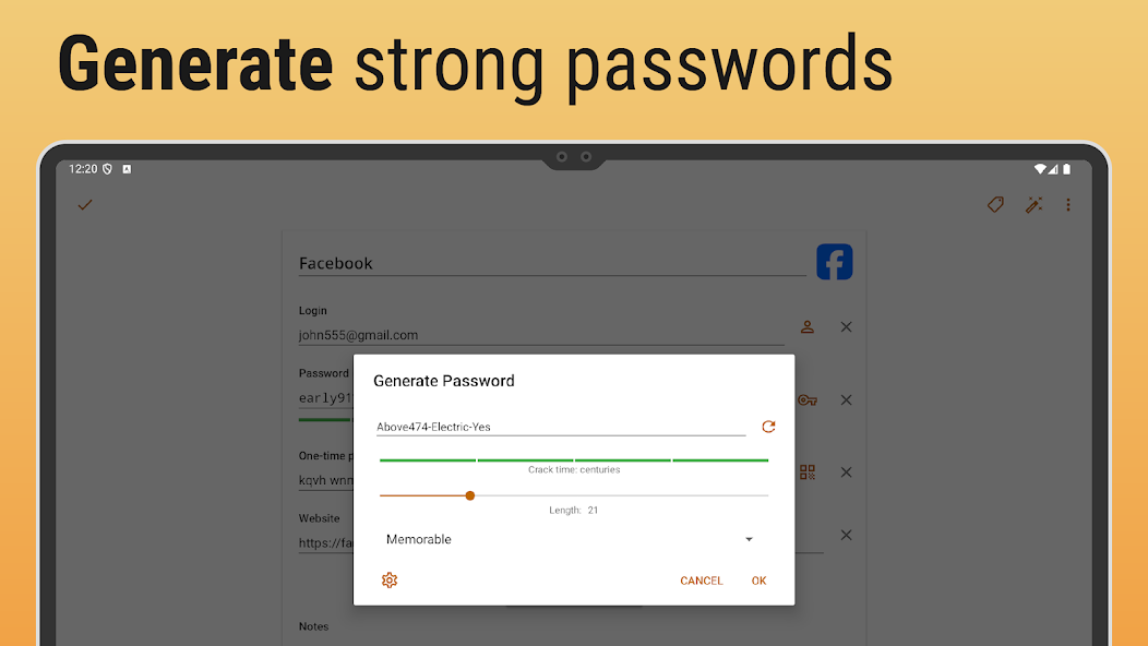 Passwords & Passkeys-Safe Pictures 20