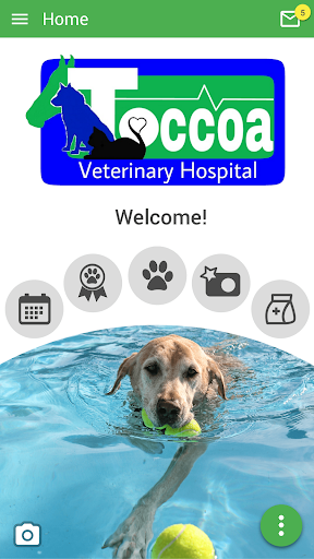 Android application Toccoa Vet screenshort