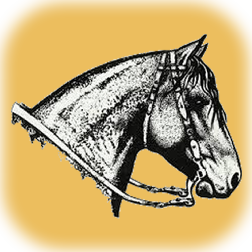 HSCC - HS Cavalo Crioulo logo