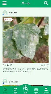 野菜栽培のお悩み解決 SCIBAI -サイバイ-