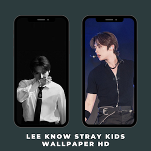 Lee Know Stray Kids Wallpaper