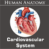 Cardiovascular System icon