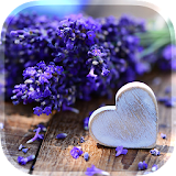 Love Flowers Live Wallpaper icon