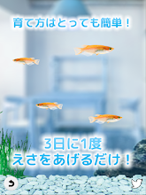 まったりメダカ育成ゲーム Google Play のアプリ