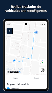 AutoExpertos Conductores