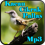 Kicau Cikrak Pallas Gacor Mp3 icon