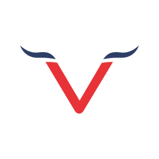 VBoi logo