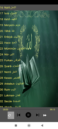 Holy Quran 114 surah offline Screen 2