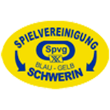Blau-Gelb Schwerin icon
