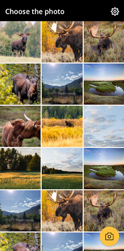Moose Gauge Screen 2