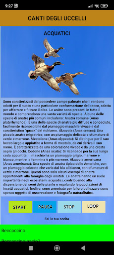 Il canto degli uccelli Screen 2