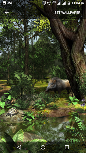 3D Nature Forest Live Wallpaper - Latest version for Android - Download APK