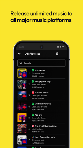 Screenshot of Amuse Music Distribution