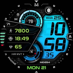 MD254: Digital watch face