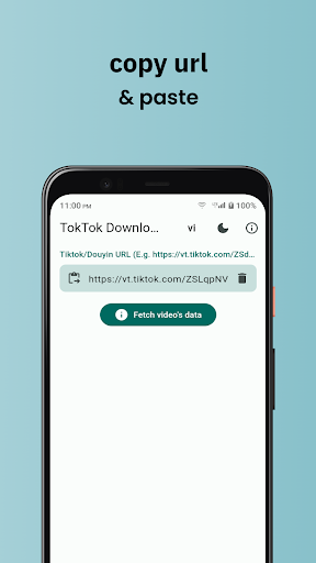 TokTok Downloader Screen 2