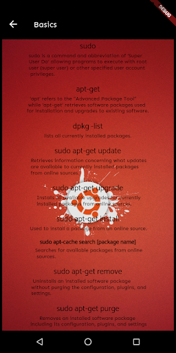 Ubuntu basic Commands Screen 3
