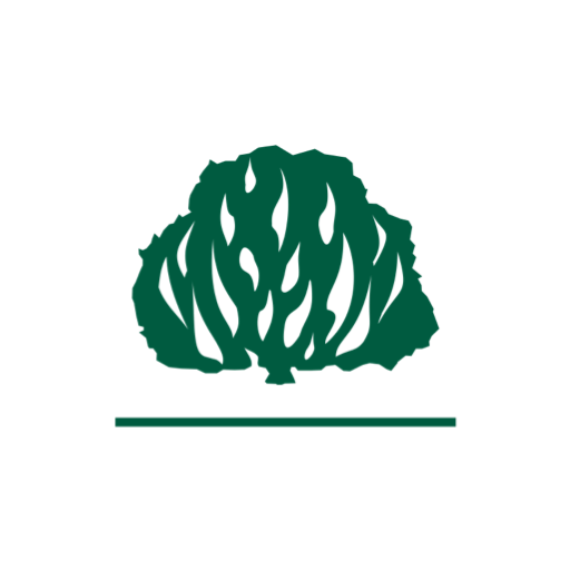 IPQuirinópolis logo