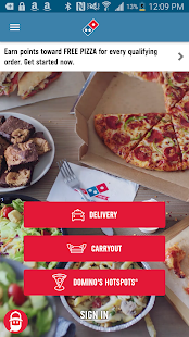 Domino's Pizza USA Screenshot